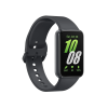 Samsung Galaxy Fit3 Gray